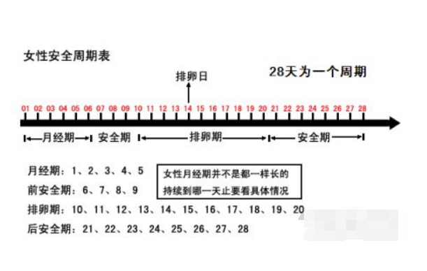 “排卵期”到来时，女人会出现这2种感觉，备孕夫妻可别错过