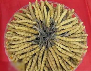 男人的十大补品：十大补肾壮阳食物排行榜