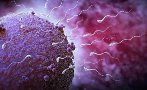 女子顺产七胞胎什么情况：详情真相揭多胞胎怎么形成的