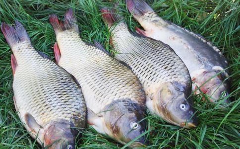 经血量太少可不是好事 女人们要学会食疗调经