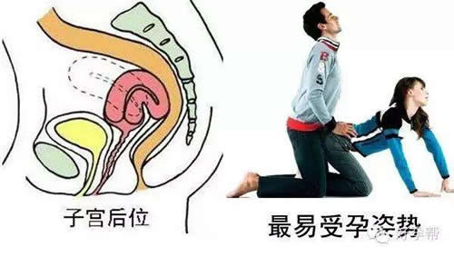 真人23式(动)姿势图曝光:容易怀孕的姿势不要错过(图)