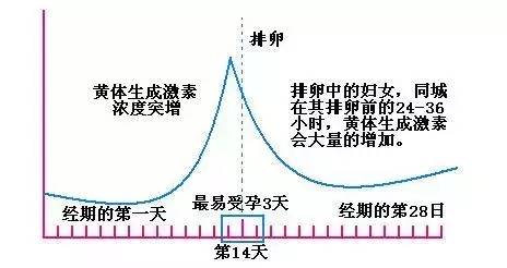 排卵试纸强阳就有一定有排卵，能怀孕？你信你就输了