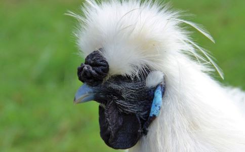 子宫下垂怎么治疗 这几招必须要学会