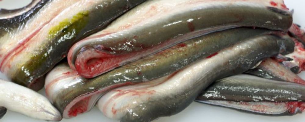 男人如何补肾 多吃这几种食物