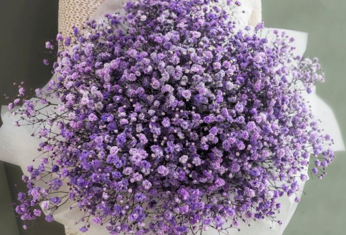 2019年七夕送什么花好 七夕节送花送几朵比较好