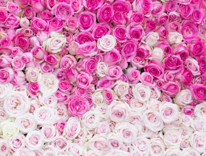 2019年七夕送什么花好 七夕节送花送几朵比较好