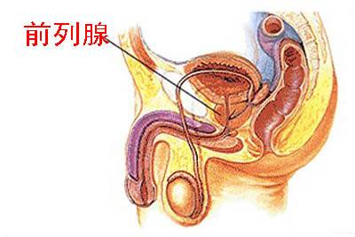 前列腺病自我按摩图解:手把手教你按摩前列腺方法