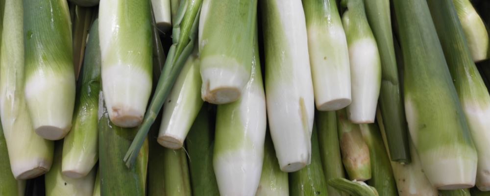 母乳不足别瞎催乳 小心催出乳腺疾病