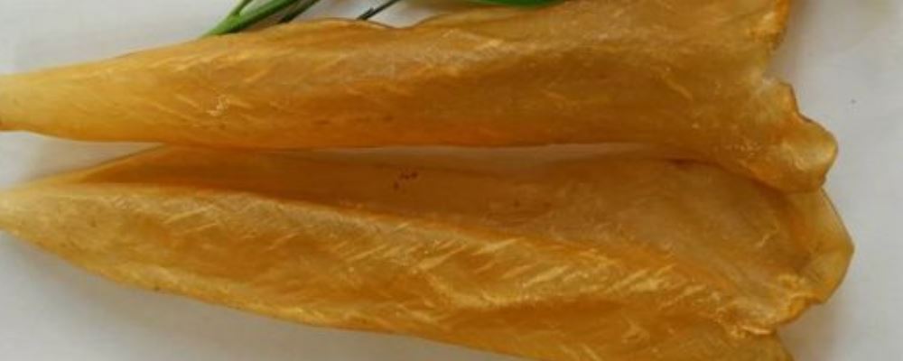 男性吃鱼胶有哪些好处 看完就明白了