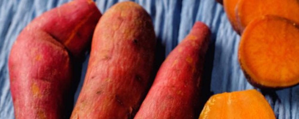 吃红薯好处多 但要注意3大禁忌