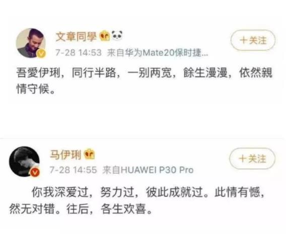 文章否认新恋情怎么回事 绯闻女友正面照曝光不比马伊琍