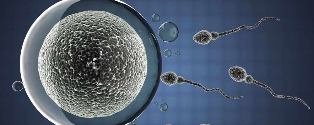 多次捐卵生命垂危 卵巢过度刺激综合征