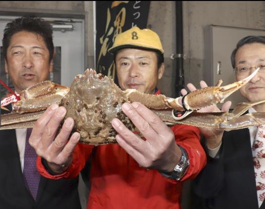 日本螃蟹500万破吉尼斯纪录 螃蟹怎么做最好吃
