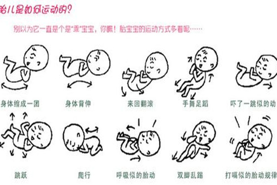 如何判断是不是胎动 两张图片教会你