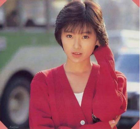 酒井法子新恋情曝光 现任男友资料曝光及酒井法子情史大爆料