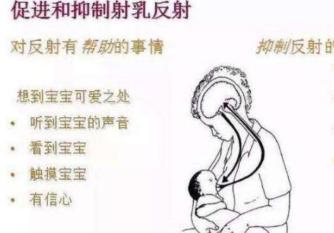 乳汁是血液变成的还是直接由食物变成的 乳汁什么怎么样形成的?