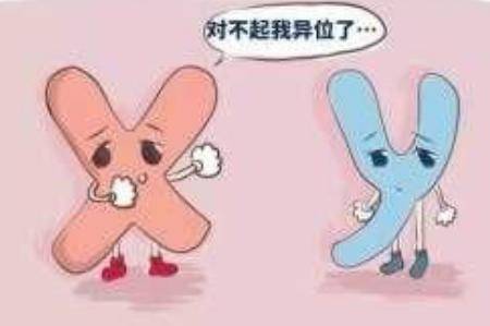 唐氏筛查都查些什么 双胎不建议做唐氏筛查和四维彩超原因