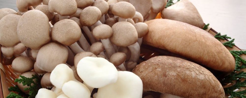 月经前后乳房胀痛是咋回事 怎么做能缓解