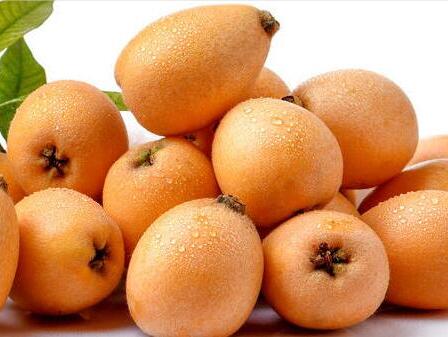 枇杷膏吃多了有什么副作用 枇杷膏吃多了会怎么样