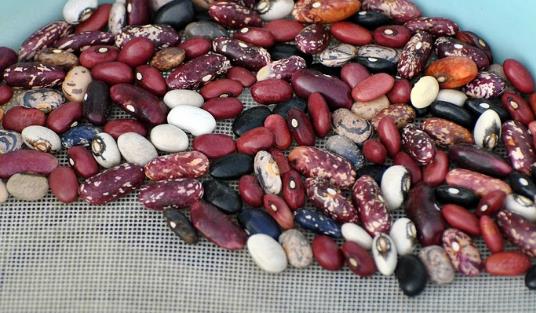 产后子宫内膜薄是怎么回事 产后子宫内膜薄是怎么回事