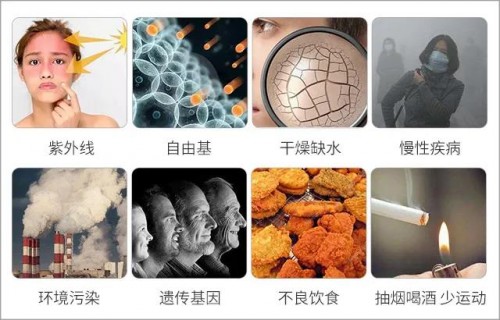 女人婚后加速衰老的原因研究出来了,竟然是......