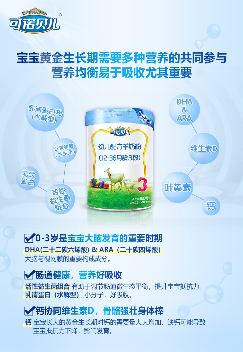 可诺贝儿小课堂:粽子虽好,宝宝莫要贪吃哦！