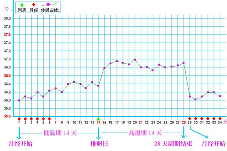 你知道女人例假走后几天是安全期吗