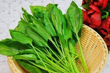 降血糖的食物有哪些 5种食物坚持吃血糖恢复正常值