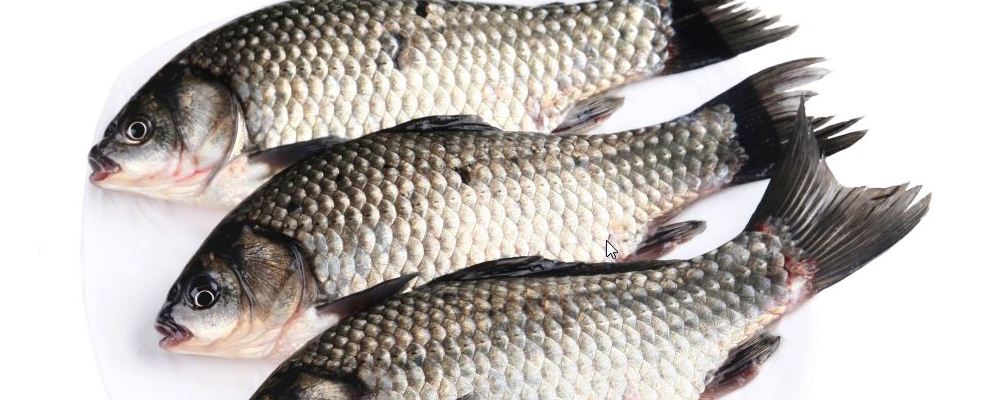 先兆性流产食谱 吃一些有助孕妇安胎