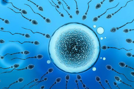 纯母乳五个月会怀孕吗