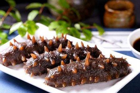 海参的营养价值和功效 女人吃海参有什么好处一斤多少钱