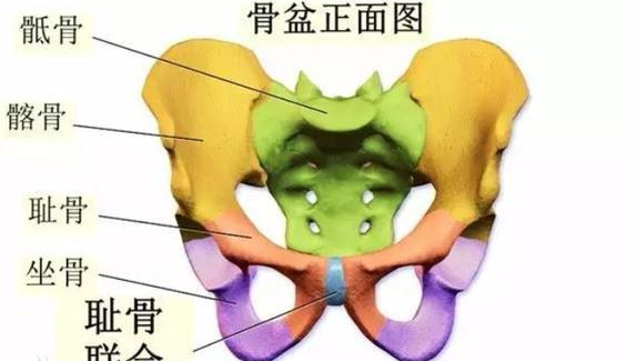 孕期有一种难熬的痛叫耻骨痛，没经历过的人根本不会懂