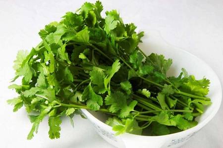 香菜的副作用 食用香菜的几个好处