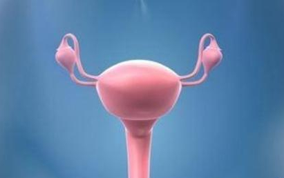 女性生殖系统怎么保养