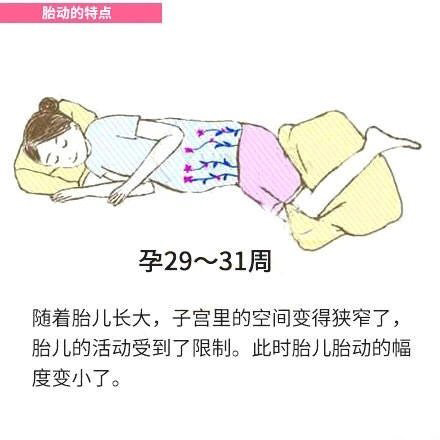 29-31周