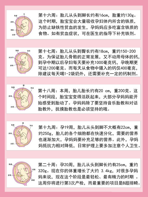 第十六周-第二十周