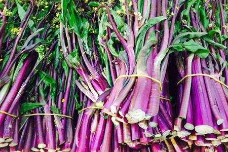 红菜苔的功效与作用,这五个女人吃红菜苔的好处和坏处