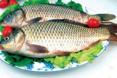 狗肉不能和什么一起吃？这五个狗肉相生相克食物列表