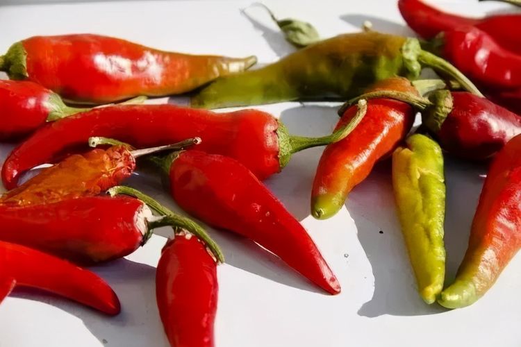 坐月子别乱吃,花椒,韭菜,山楂,麦芽,分享史上回奶食物黑名单大全