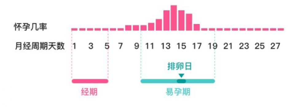 备孕期间,女性是否到了排卵期,不用去医院,用手一摸就知道