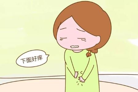 已婚女人预防阴道炎的两大方法