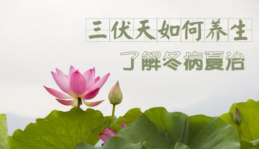 三伏天泡澡的好处和功效