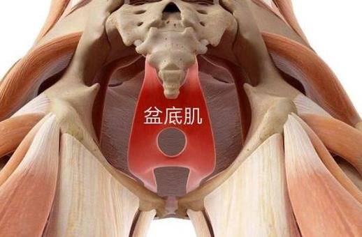 阴道松弛怎么办 有效的缩阴锻炼方法有哪些？