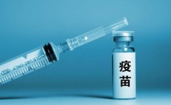 宝宝疫苗a群是什么