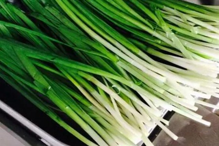 回奶吃什么快最有效的？这四个食物有回奶的功效