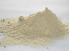 安利蛋白粉