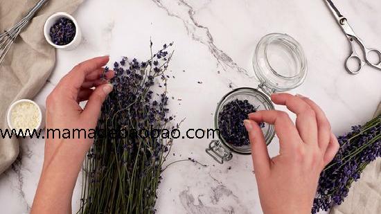 如何制作薰衣草油（制作薰衣草浸泡油）