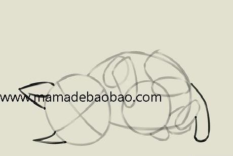 4种方法来画猫咪 - （可爱的卡通猫）