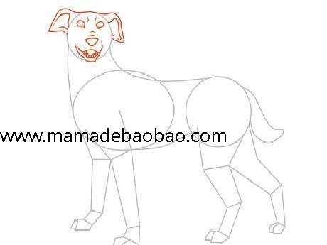 5种方法来画狗 - （卡通狗的画法）