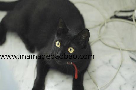 如何打发夏天里的无聊时间（夏日狂欢）